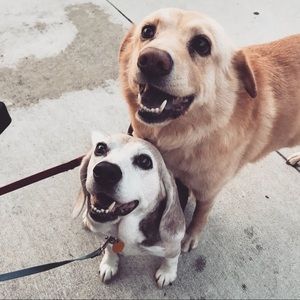 Meet your Posher, Lydia